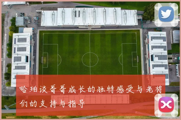 哈珀谈哥哥成长的独特感受与老将们的支持与指导