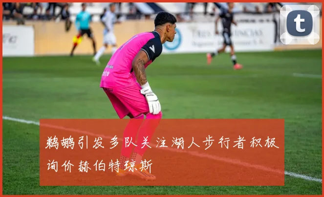 鹈鹕引发多队关注湖人步行者积极询价赫伯特琼斯