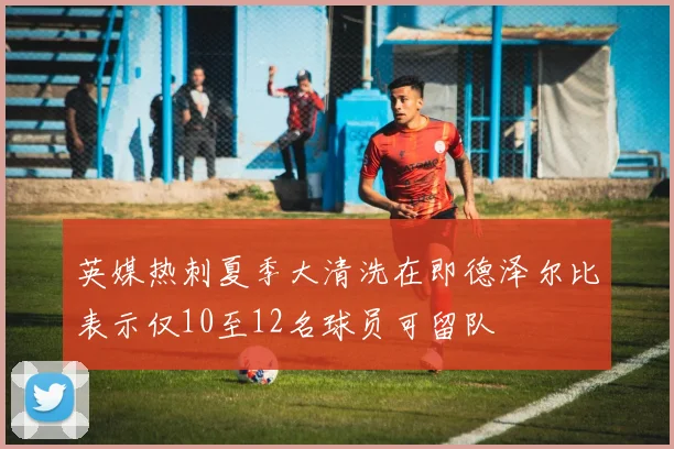 英媒热刺夏季大清洗在即德泽尔比表示仅10至12名球员可留队